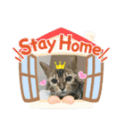 Stay Home猫達の日常スタンプ（個別スタンプ：1）
