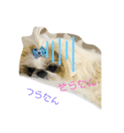 そらスタンプ その1（個別スタンプ：3）