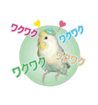 お茶目なインコ（個別スタンプ：9）