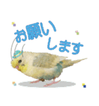 お茶目なインコ（個別スタンプ：12）