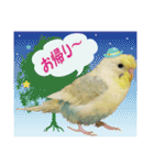 お茶目なインコ（個別スタンプ：15）