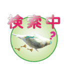 お茶目なインコ（個別スタンプ：17）