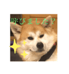 ちくわの気持ち01（個別スタンプ：1）