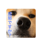 ちくわの気持ち01（個別スタンプ：5）