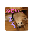 ちくわの気持ち01（個別スタンプ：6）