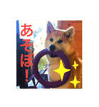 ちくわの気持ち01（個別スタンプ：7）
