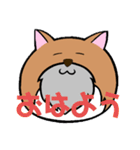 ひげねこ伯爵（個別スタンプ：1）