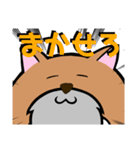 ひげねこ伯爵（個別スタンプ：11）