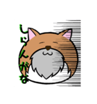 ひげねこ伯爵（個別スタンプ：13）