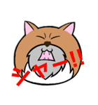 ひげねこ伯爵（個別スタンプ：14）