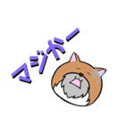 ひげねこ伯爵（個別スタンプ：15）