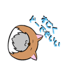 ひげねこ伯爵（個別スタンプ：16）