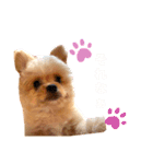 ぽんぷり（個別スタンプ：3）