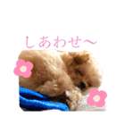 ぽんぷり（個別スタンプ：11）