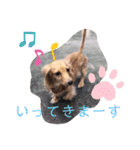 犬のきもち。チワワ＆ダックスver.（個別スタンプ：9）