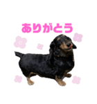おおきなこたろうくん（個別スタンプ：5）