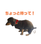 おおきなこたろうくん（個別スタンプ：6）