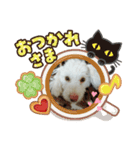 くーちゃんのスタンプ。。（個別スタンプ：1）