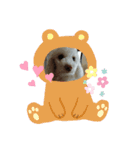 くーちゃんのスタンプ。。（個別スタンプ：5）