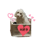 くーちゃんのスタンプ。。（個別スタンプ：11）