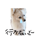 うちの潤ちゃん（個別スタンプ：4）
