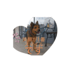 あらし君です（個別スタンプ：2）