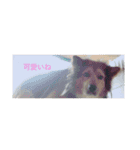 あらし君です（個別スタンプ：10）