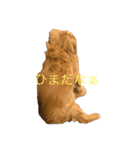 チーズ第一弾（個別スタンプ：3）