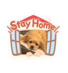 チーズ第一弾（個別スタンプ：6）