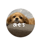 チーズ第一弾（個別スタンプ：8）