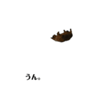 猫(シャビ)（個別スタンプ：7）