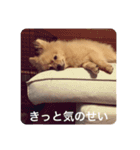 らいくんまん2（個別スタンプ：1）