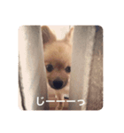 らいくんまん2（個別スタンプ：2）