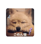 らいくんまん2（個別スタンプ：6）