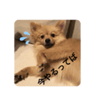 らいくんまん2（個別スタンプ：7）