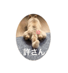 らいくんまん2（個別スタンプ：8）