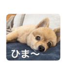 らいくんまん2（個別スタンプ：9）