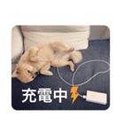 らいくんまん2（個別スタンプ：15）