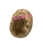 ラキメグの日常（個別スタンプ：1）