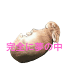 ラキメグの日常（個別スタンプ：6）