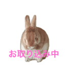 ラキメグの日常（個別スタンプ：7）