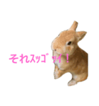 ラキメグの日常（個別スタンプ：8）