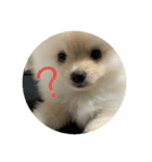 みかん オリジナルスタンプ（個別スタンプ：3）