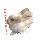 私、実は怒ってます。（個別スタンプ：1）