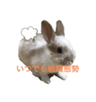 私、実は怒ってます。（個別スタンプ：3）