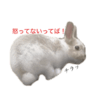 私、実は怒ってます。（個別スタンプ：4）
