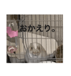 私、実は怒ってます。（個別スタンプ：5）