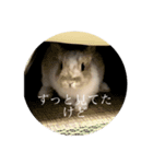 私、実は怒ってます。（個別スタンプ：8）