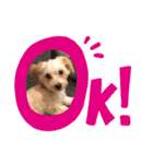 モニちゃんスタンプ（個別スタンプ：1）