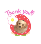 モニちゃんスタンプ（個別スタンプ：3）